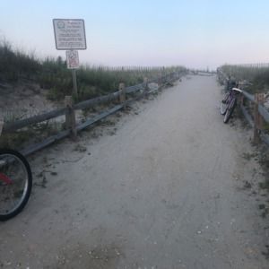 Meet your Posher, Hallie